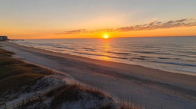 North Carolina Wall Art